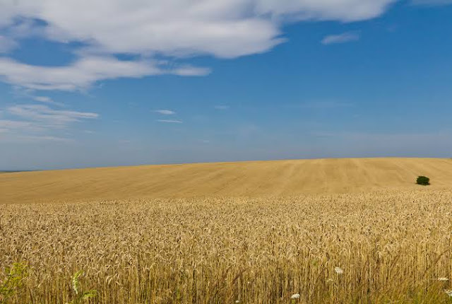 US collaboration with UN food and fertiliser export complaints from Russia