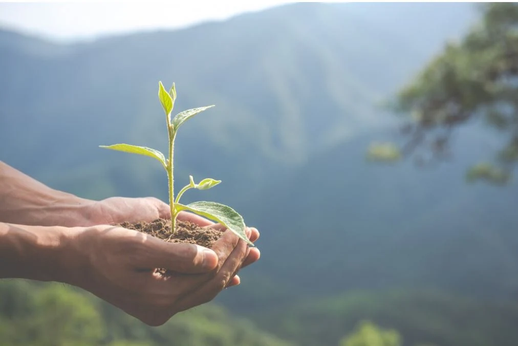 How to create sustainable habits—such as prioritizing sleep, practicing mindfulness, and staying active—can significantly enhance your long-term well-being. By making small, consistent changes to your daily routine, you can build a healthy, balanced life that promotes both physical and emotional vitality for years to come.