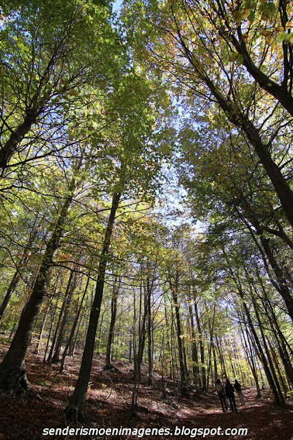 Turó i empedrat de Morou (Montseny)