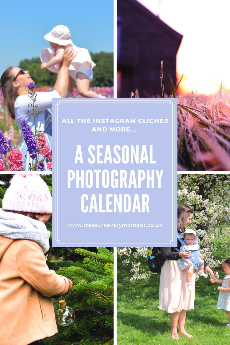 PHOTOGRAPHY: A Seasonal Outdoor Calendar 