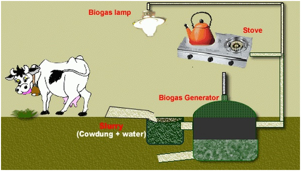 PENGGUNAAN BIOMASSA SEBAGAI ENERGI ALTERNATIF DI INDONESIA 