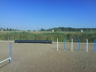 Zona de esparcimiento canino y Agility, Parque del Agua de Zaragoza