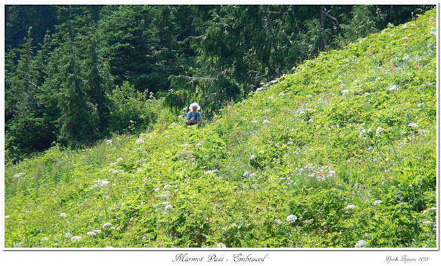 Marmot Pass: Embraced