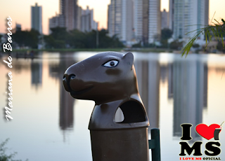 Foto da linda lixeira da Capivara no Parque das Nações Indígenas