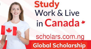 Scholarships Is a Work Permit Required to Work in Canada?