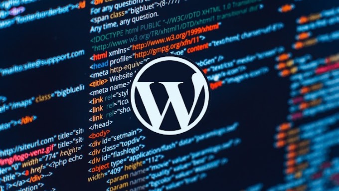 WordPress for Beginners Master WordPress in No Time
