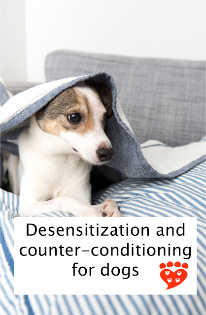 Desensitization and counter-conditioning for dogs. The poster shows a fearful Jack Russell hiding under a blanket