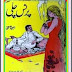 Prince Chilli Urdu Stories Book  Ibn e Safi Urdu Novel In Pdf Download  