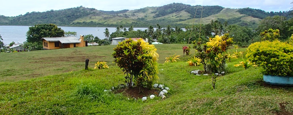 PA213778