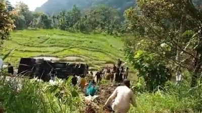 Hilang Kendali, Bus AKDP Bukittinggi-Pasbar Masuk Jurang di Kelok 44