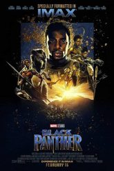 Download Black Panther (2018) IMAX BluRay Dual Audio {Hindi-English} 480p [400MB] | 720p [1.2GB] | 1080p [3GB] | 2160p 10bit [6.7GB]