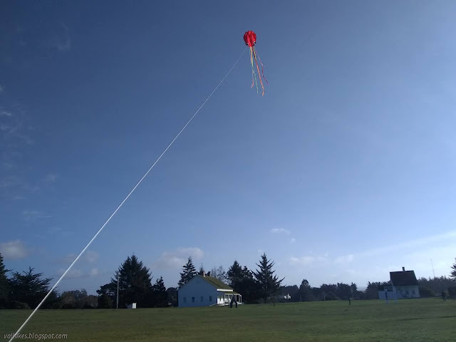 cell phone picture of kite in the sky