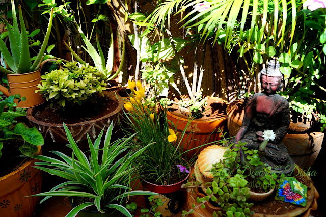 Balcony Garden