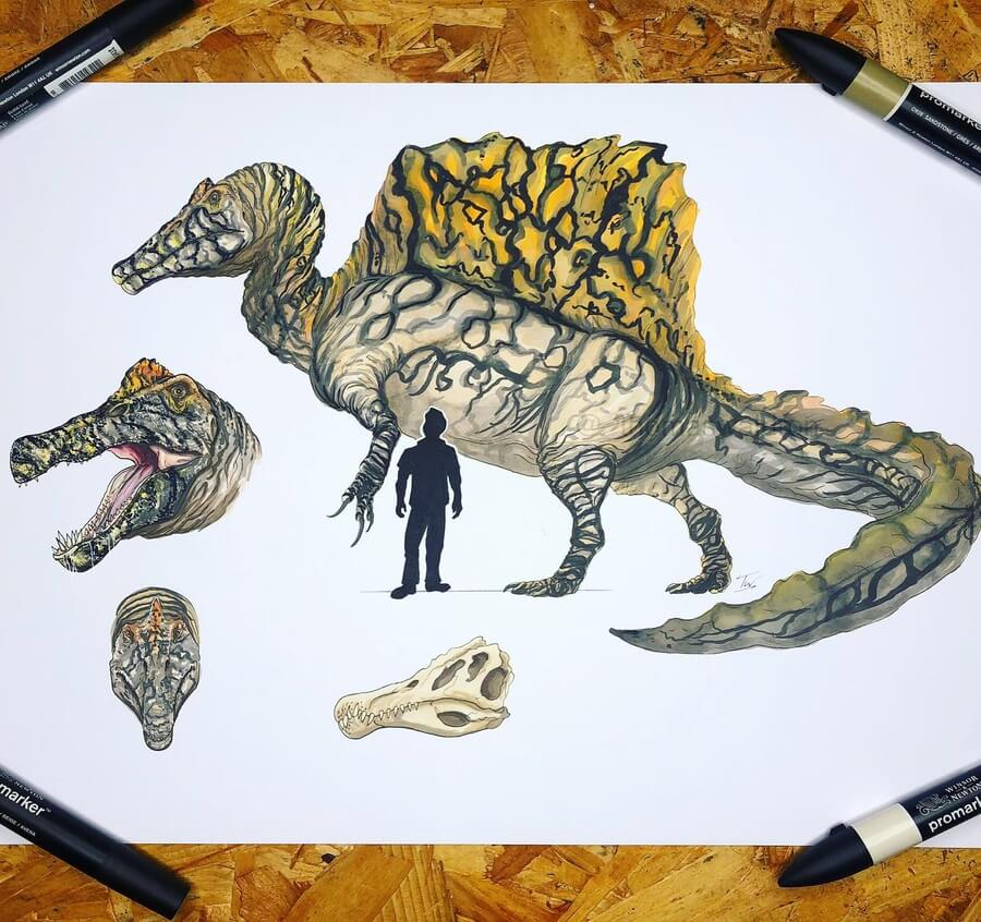 12-Spinosaurus-Dinosaur-Drawings-Thomas-Waldron-www.designstack.co