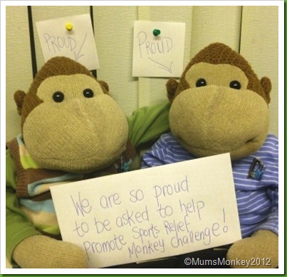 Sport Relief Monkey Challenge