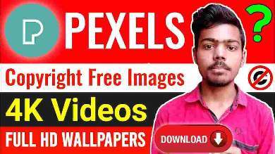 What is Pexels ? How To Download  Copyright Free Images And 4K Videos ? How To Download Full HD Wallpapers For Laptop And Android Phone | Nikhil Technology