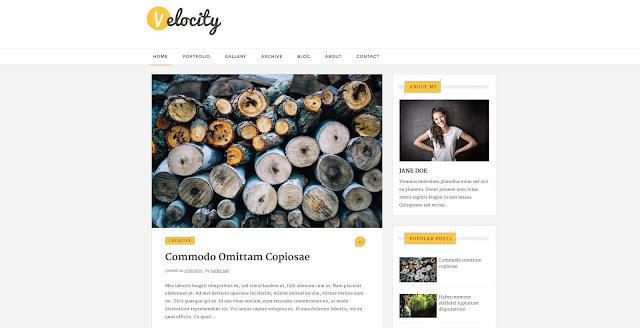 velocity blogger template