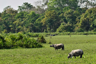 काझीरंगा नॅशनल पार्क संपुर्ण माहिती मराठी |   Kaziranga National Park information in Marathi