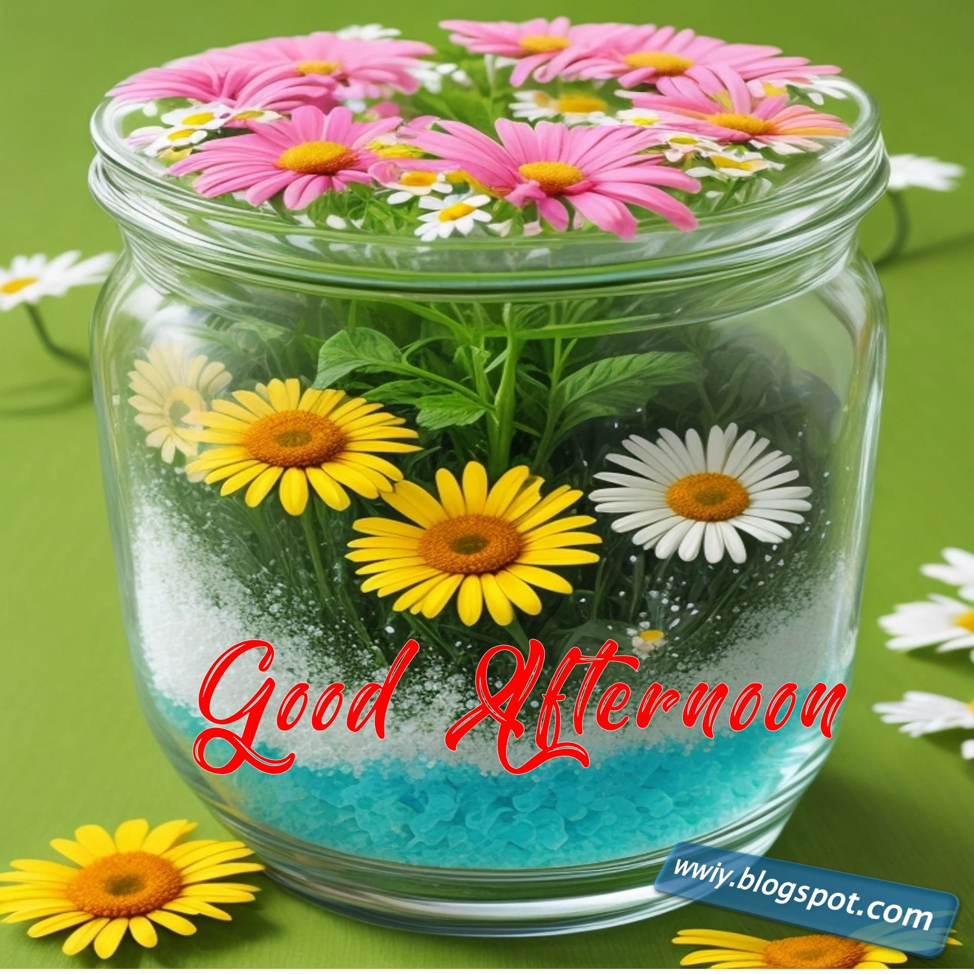 Lunch Good Afternoon Images Free Download