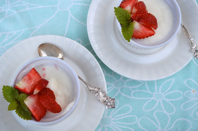 frozen yogurt, jogurttijäätelö