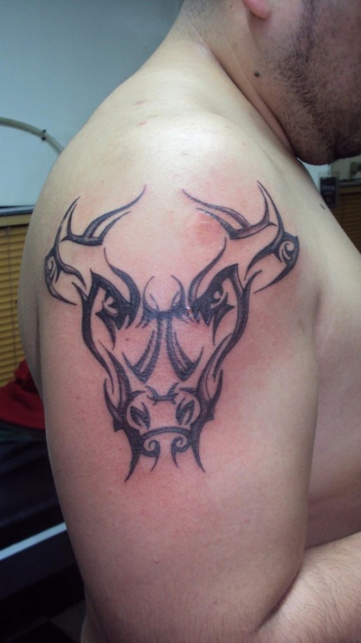 charging bull tattoo designs brahma bull tattoo designs