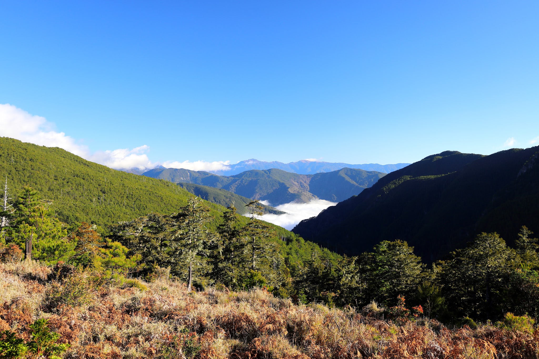 卑南主山東峰前望向伊加之蕃溪谷流域