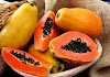 Latest Studies and Research on Papaya Seeds