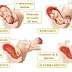 5 cosas que debes hacer antes de quedar embarazada y saber de tu cuerpo en el proceso de desarrollo de el bebe.﻿