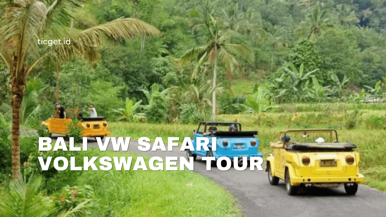 bali-vw-safari-convertible-volkswagen-tour
