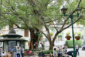 Lilau square, a shaded square or park features fountain, greenery, trees and a great view of Macau