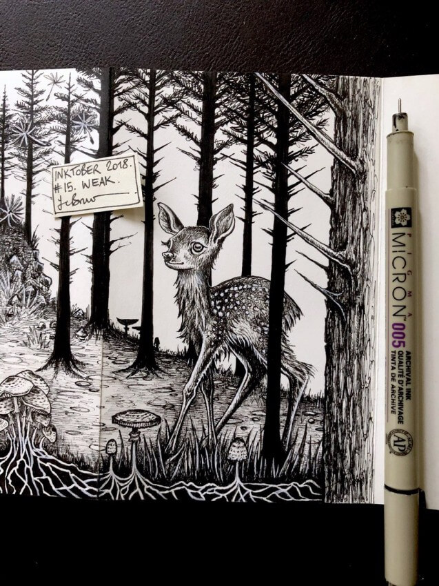 09-Tentative-deer-Flora-and-Fauna-Drawings-Jo-Brown-www-designstack-co