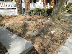 Paul Jung Gardening Services Toronto Gardening Company Davisville Mount Pleasant East Spring Front Garden Cleanup Before