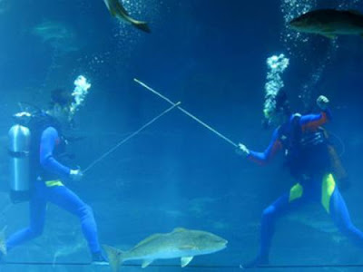 Underwater Sports Around the World