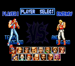 fatal fury special garou densetsu