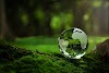 4 Tactics You Can Use To Help Save the Environment