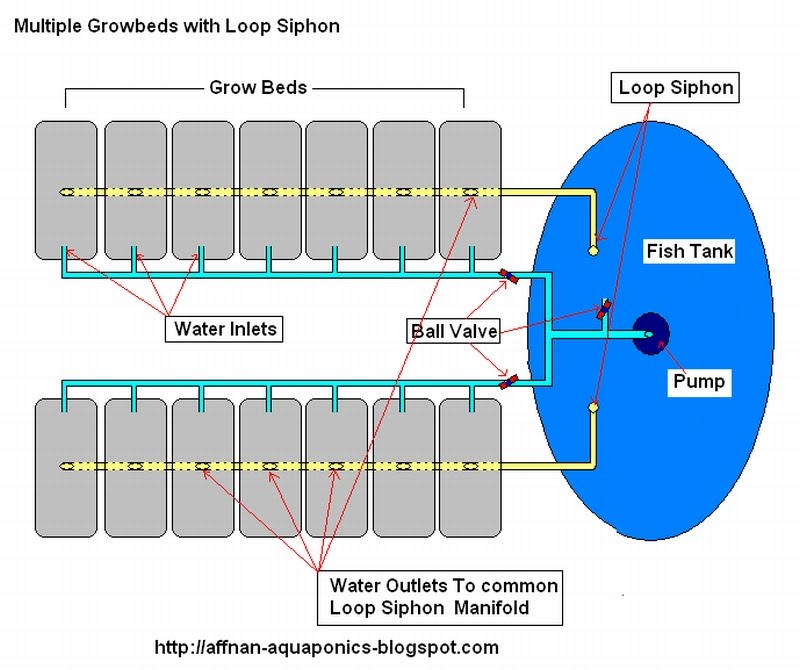 Aquaponics Setup