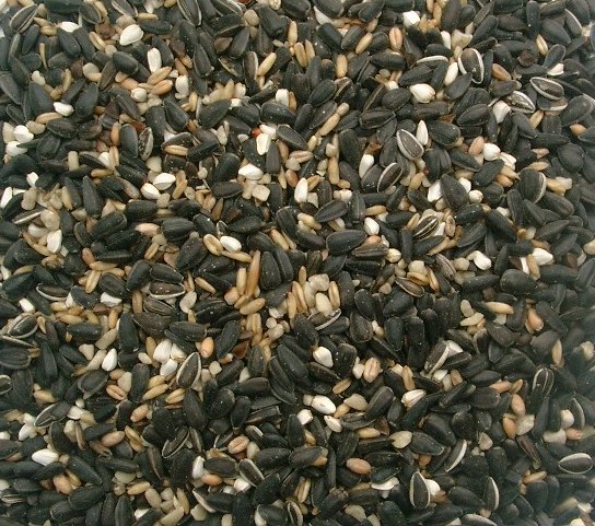 Bird Seed Mixes