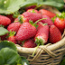 Manfaat Buah Strawberry Untuk Kesehatan