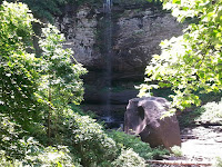 Hiking a Cloudland Canyon Waterfall