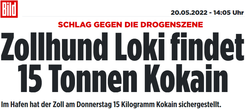 Zollhund Loki findet 15 Tonnen Kokain