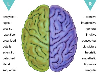 Left and Right Side Brain Functions