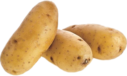 chipsona variety potato