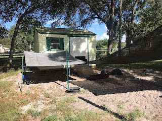 Shade provided with trees, a tarp and shade sail.