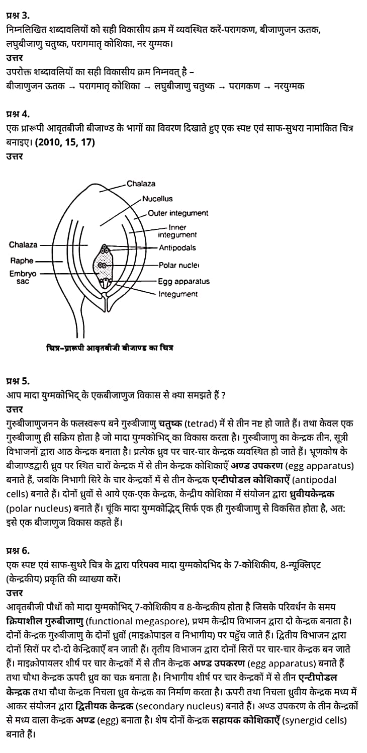 class 12   Biology   Chapter 2,  class 12   Biology   Chapter 2 ncert solutions in hindi,  class 12   Biology   Chapter 2 notes in hindi,  class 12   Biology   Chapter 2 question answer,  class 12   Biology   Chapter 2 notes,  12   class Biology   Chapter 2 in hindi,  class 12   Biology   Chapter 2 in hindi,  class 12   Biology   Chapter 2 important questions in hindi,  class 12   Biology    notes in hindi,   class 12   Biology   Chapter 2 test,  class 12   Biology   Chapter 2 pdf,  class 12   Biology   Chapter 2 notes pdf,  class 12   Biology   Chapter 2 exercise solutions,  class 12   Biology   Chapter 2, class 12   Biology   Chapter 2 notes study rankers,  class 12   Biology   Chapter 2 notes,  class 12   Biology   notes,   Biology    class 12   notes pdf,  Biology   class 12   notes 2021 ncert,  Biology   class 12   pdf,  Biology    book,  Biology   quiz class 12  ,   12  th Biology    book up board,  up board 12  th Biology   notes,   कक्षा 12   जीव विज्ञान  अध्याय 2,  कक्षा 12   जीव विज्ञान  का अध्याय 2 ncert solution in hindi,  कक्षा 12   जीव विज्ञान  के अध्याय 2 के नोट्स हिंदी में,  कक्षा 12   का जीव विज्ञान  अध्याय 2 का प्रश्न उत्तर,  कक्षा 12   जीव विज्ञान  अध्याय 2 के नोट्स,  12   कक्षा जीव विज्ञान  अध्याय 2 हिंदी में,  कक्षा 12   जीव विज्ञान  अध्याय 2 हिंदी में,  कक्षा 12   जीव विज्ञान  अध्याय 2 महत्वपूर्ण प्रश्न हिंदी में,  कक्षा 12   के जीव विज्ञान  के नोट्स हिंदी में,  जीव विज्ञान  कक्षा 12   नोट्स pdf,  जीव विज्ञान  कक्षा 12   नोट्स 2021 ncert,  जीव विज्ञान  कक्षा 12   pdf,  जीव विज्ञान  पुस्तक,  जीव विज्ञान  की बुक,  जीव विज्ञान  प्रश्नोत्तरी class 12  , 12   वीं जीव विज्ञान  पुस्तक up board,  बिहार बोर्ड 12  पुस्तक वीं जीव विज्ञान  नोट्स,    12th Biology    book in hindi, 12  th Biology    notes in hindi, cbse books for class 12  , cbse books in hindi, cbse ncert books, class 12   Biology   notes in hindi,  class 12   hindi ncert solutions, Biology   2020, Biology   2021, Biology   2022, Biology   book class 12  , Biology    book in hindi, Biology   class 12   in hindi, Biology   notes for class 12   up board in hindi, ncert all books, ncert app in hindi, ncert book solution, ncert books class 10, ncert books class 12  , ncert books for class 7, ncert books for upsc in hindi, ncert books in hindi class 10, ncert books in hindi for class 12 Biology  , ncert books in hindi for class 6, ncert books in hindi pdf, ncert class 12 hindi book, ncert english book, ncert Biology    book in hindi, ncert Biology    books in hindi pdf, ncert Biology  class 12  ,   ncert in hindi,  old ncert books in hindi, online ncert books in hindi,  up board 12  th, up board 12  th syllabus, up board class 10 hindi book, up board class 12   books, up board class 12   new syllabus, up board intermediate Biology    syllabus, up board intermediate syllabus 2021, Up board Master 2021, up board model paper 2021, up board model paper all subject, up board new syllabus of class 12  th Biology  ,   12 वीं जीव विज्ञान   पुस्तक हिंदी में, 12  वीं भौतिक विज्ञान  नोट्स हिंदी में, कक्षा 12   के लिए सीबीएससी पुस्तकें, कक्षा 12   जीव विज्ञान  नोट्स हिंदी में, कक्षा 12   हिंदी एनसीईआरटी समाधान,  जीव विज्ञान  बुक इन हिंदी, भौतिक विज्ञान  क्लास 12   हिंदी में,  एनसीईआरटी भौतिक विज्ञान  की किताब हिंदी में,  बोर्ड 12 वीं तक, 12 वीं तक की पाठ्यक्रम, बोर्ड कक्षा 10 की हिंदी पुस्तक , बोर्ड की कक्षा 12   की किताबें, बोर्ड की कक्षा 12 की नई पाठ्यक्रम, बोर्ड जीव विज्ञान  2020, यूपी   बोर्ड जीव विज्ञान  2021, यूपी  बोर्ड जीव विज्ञान  2022, यूपी  बोर्ड भौतिक विज्ञान  2023, यूपी  बोर्ड इंटरमीडिएट भौतिक विज्ञान  सिलेबस, यूपी  बोर्ड इंटरमीडिएट सिलेबस 2021, यूपी  बोर्ड मास्टर 2021, यूपी  बोर्ड मॉडल पेपर 2021, यूपी  मॉडल पेपर सभी विषय, यूपी  बोर्ड न्यू क्लास का सिलेबस  12   वीं भौतिक विज्ञान, अप बोर्ड पेपर 2021, यूपी बोर्ड सिलेबस 2021, यूपी बोर्ड सिलेबस 2022,