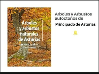 Guía de Arboles y Arbustos de Asturias