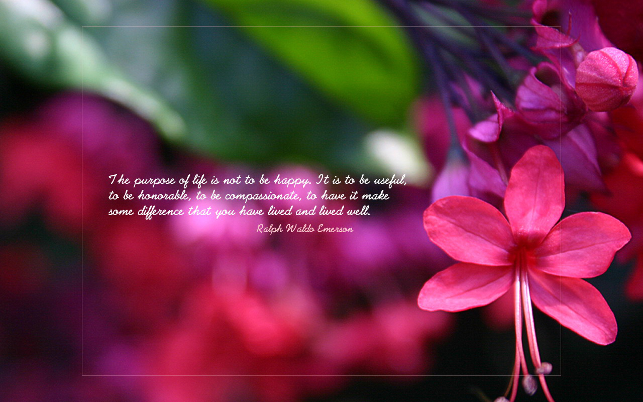 ... Quotes HD Wallpaper For Desktop | Mahatma Gandhi Sayings Wallpaper