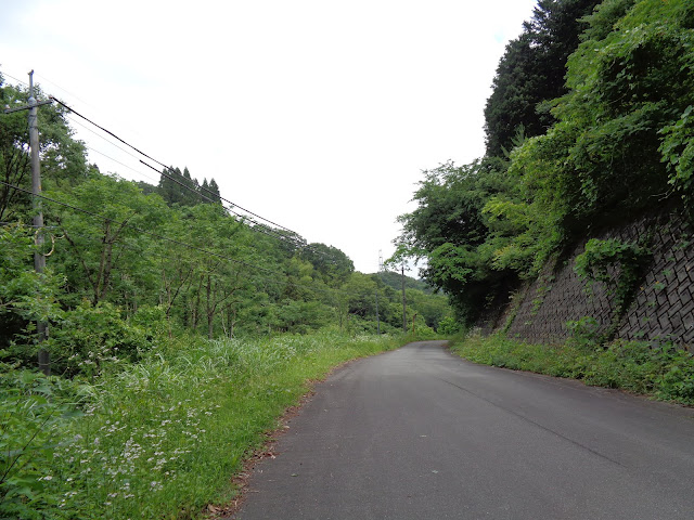 鳥取県道35号線に合流するため金山集落に降ります