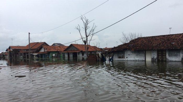 Pekalongan, Kota yang Terancam Tenggelam oleh Naiknya Air Laut, naviri.org, Naviri Magazine, naviri