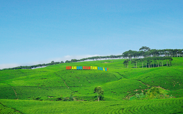 kebun teh kabawetan