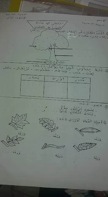 نماذج امتحانات المستوى الثاني للوحدتين 5و 6 المرحلة الثالثة